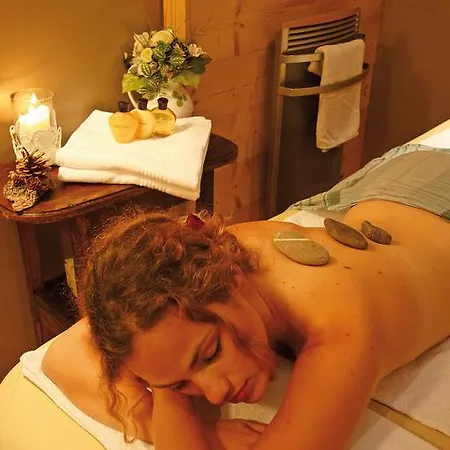 Logis Hotel Et Spa Le Christiania 3* Ла-Саль-лез-Альп