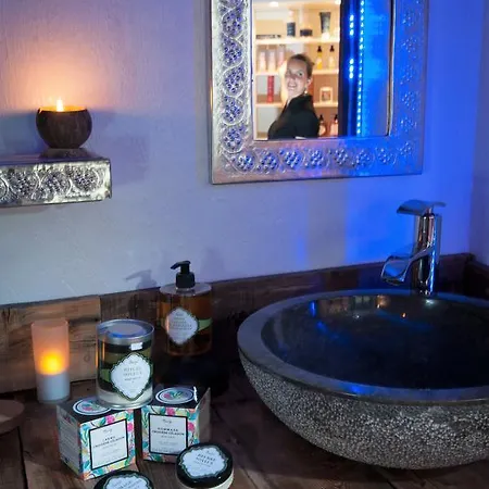 Logis Hotel Et Spa Le Christiania Отель 3*